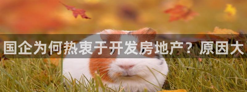 永利金文化有限公司
