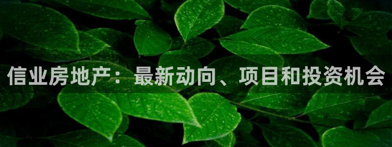 永利背一分