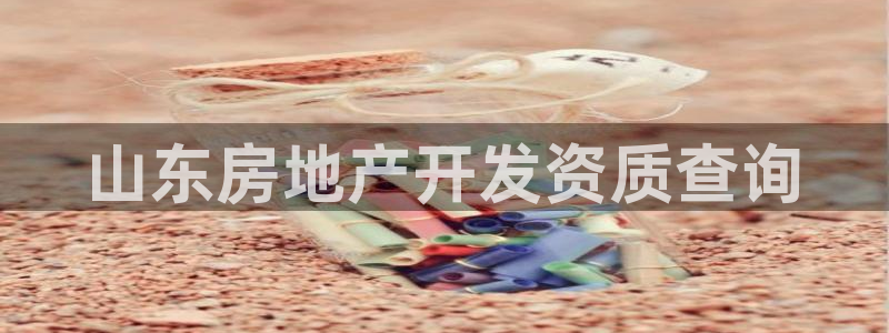 永利集团董事长