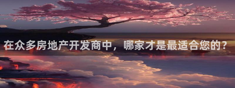 苏州金沙永利怎么样