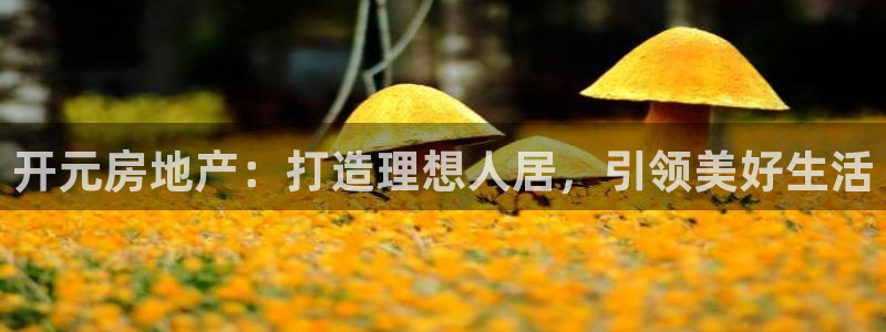 永利会员卡级别及福利