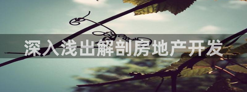 永利汇茶具怎么样