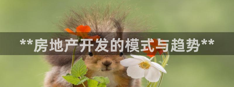 永利传送带业务