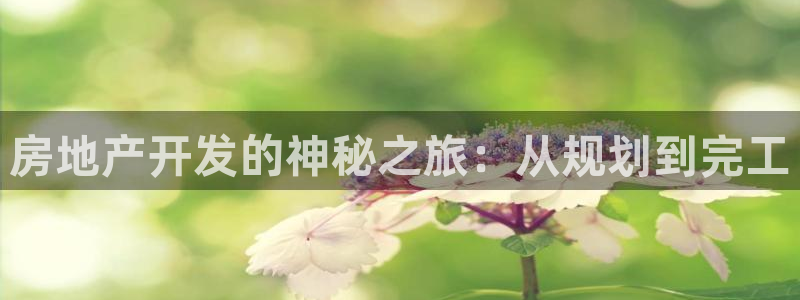 永利中国东北菜
