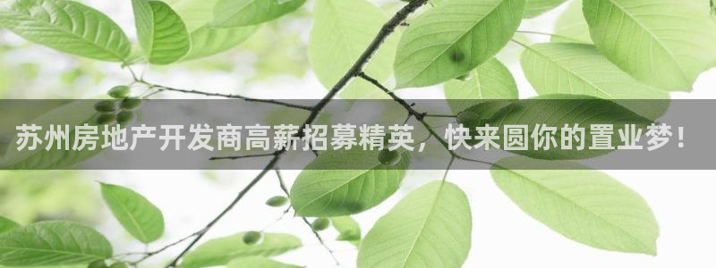 永利睹钱