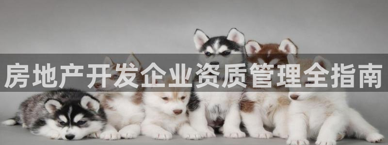 山东永利新材料