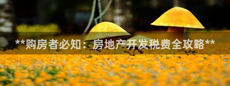 永利官网正网