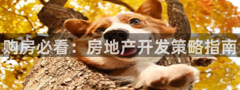 广州永利汇