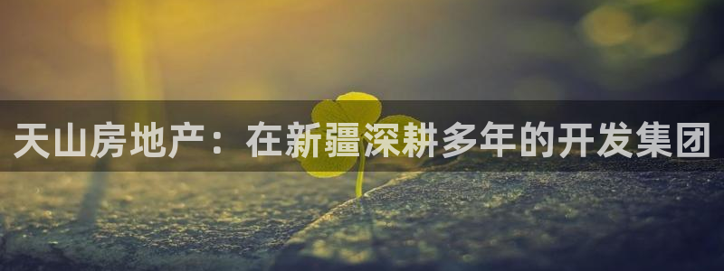苏州金沙永利怎么样