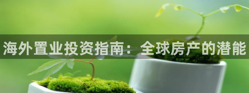 永利皮带型号说明书图片