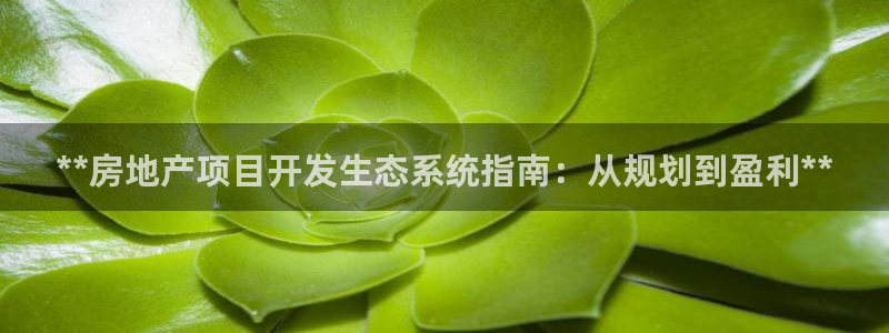 永利集团董事长