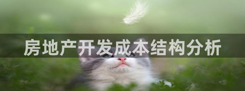 谁知道永利的网址