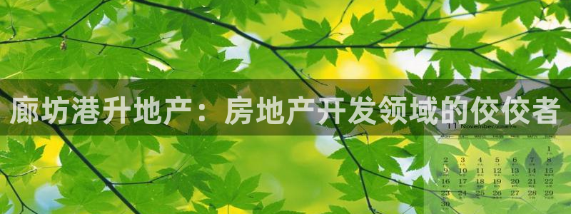 永利背一分什么价格