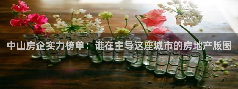 永利能源开发有限公司