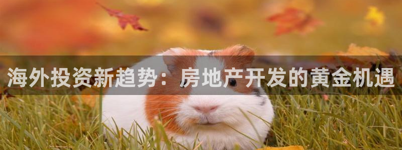 永利贵宾厅出不了款怎么办