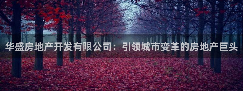永利皇府黄立青