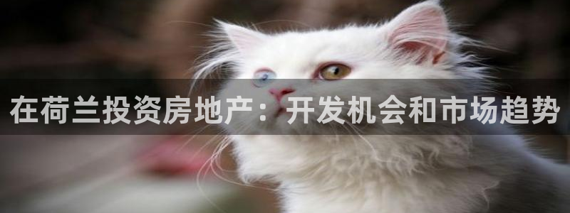 永利网是干什么的,能挣到钱吗?