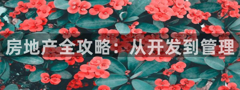 永利网是不是真的