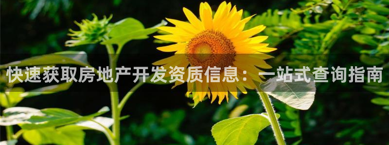 永利中国的老板是谁