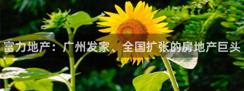 鄂尔多斯永利煤矿