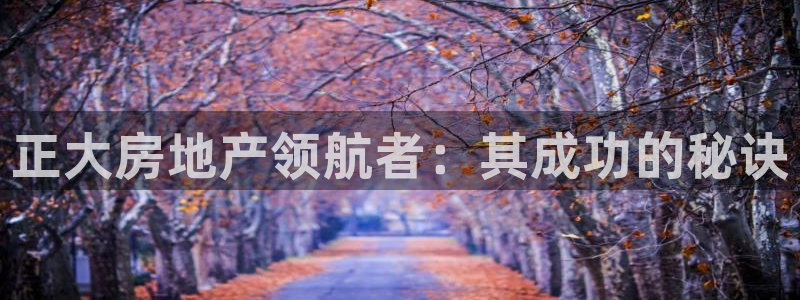 永利纺织有限公司