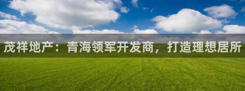 永利股份有限公司介绍