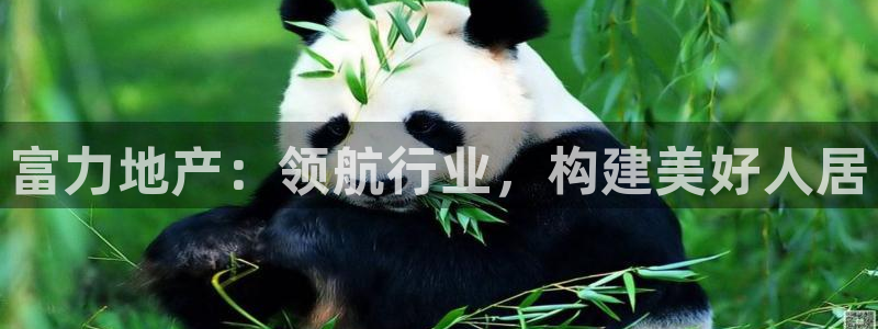 永利官网可信吗