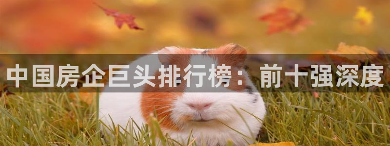 滨州永利集团