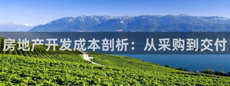 永利正版