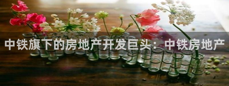永利现场