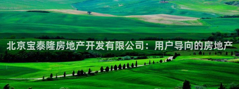 永利链条