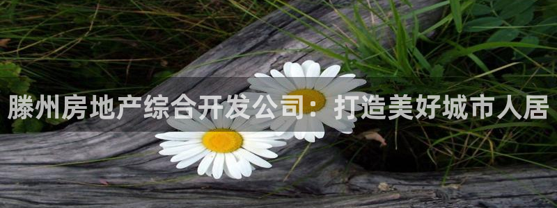 佛山永利工业皮带厂怎么样