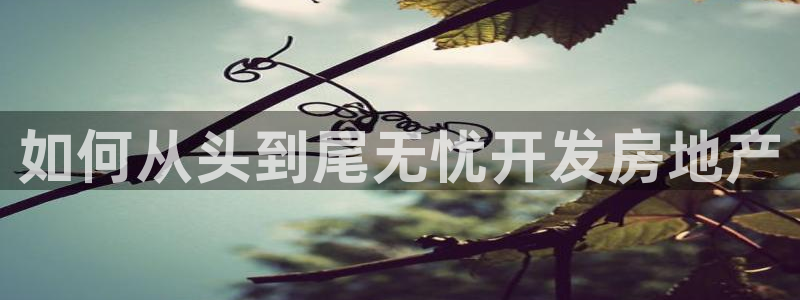 永利保险公司排名