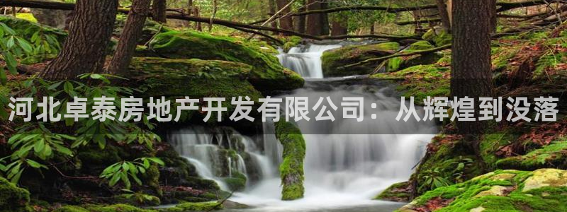 永利集团董事长什么级别