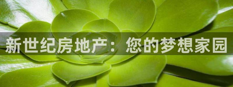 永利建材有限公司