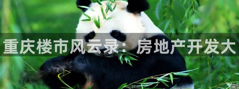 永利带业公司怎么样