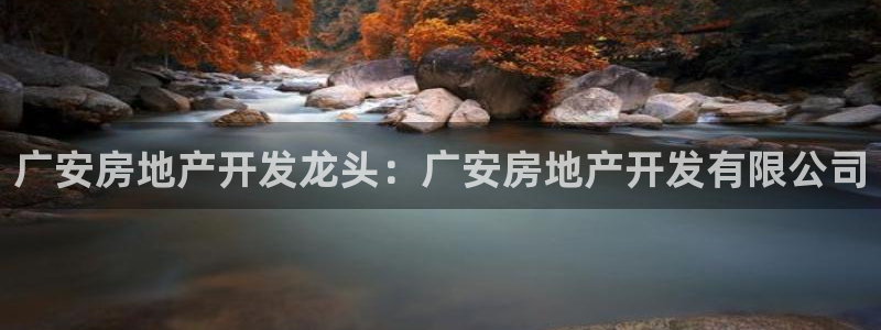 佛山永利车业