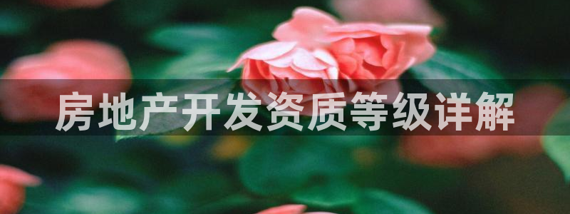 永利企业