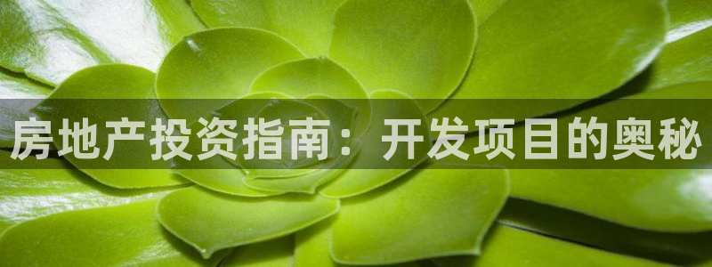 永利网会员