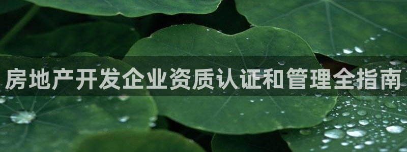 永利官网可信吗