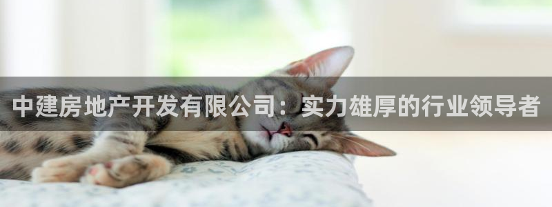 永利地产工程有限公司