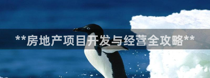 永利制衣