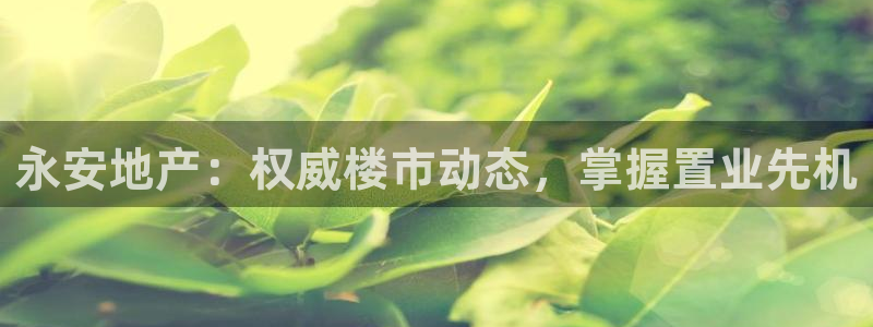 永利充值第三方交易是什么