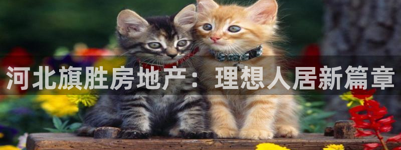 滨州永利盐业