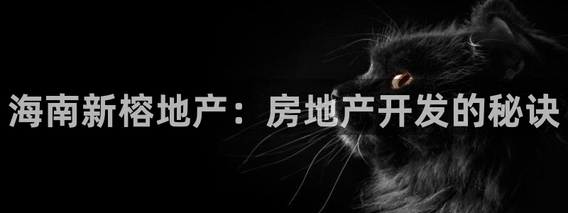 永利汇茶具官网