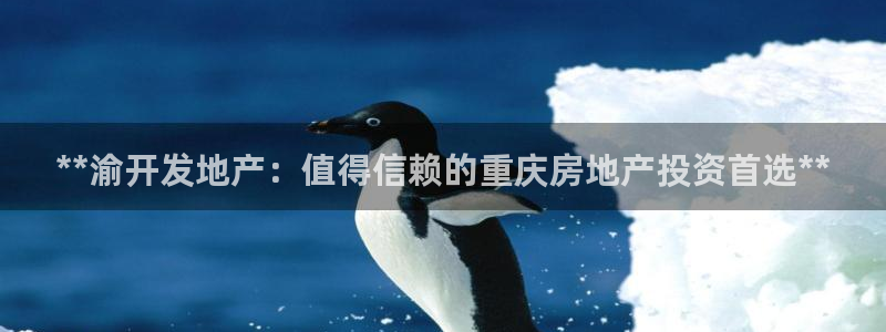 永利皮革