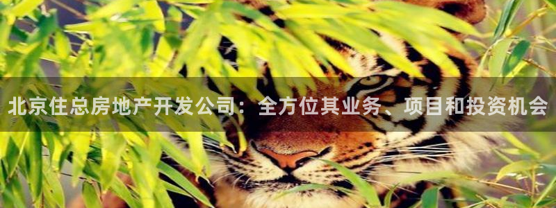 永利中国东北菜