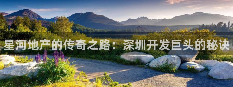 永利表行假货