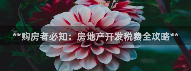 永利官方网招聘最新消息查询