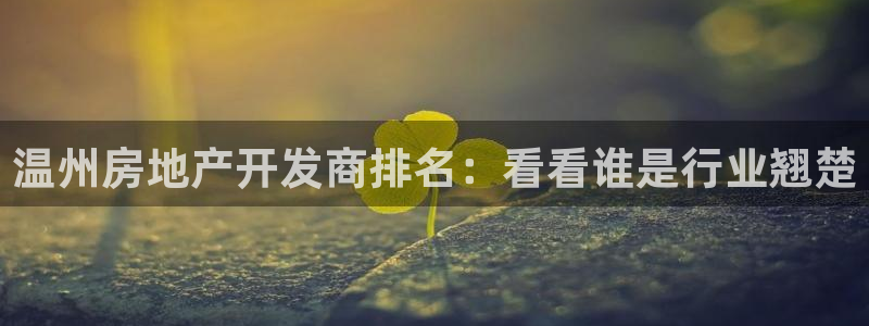 永利网输了几十万
